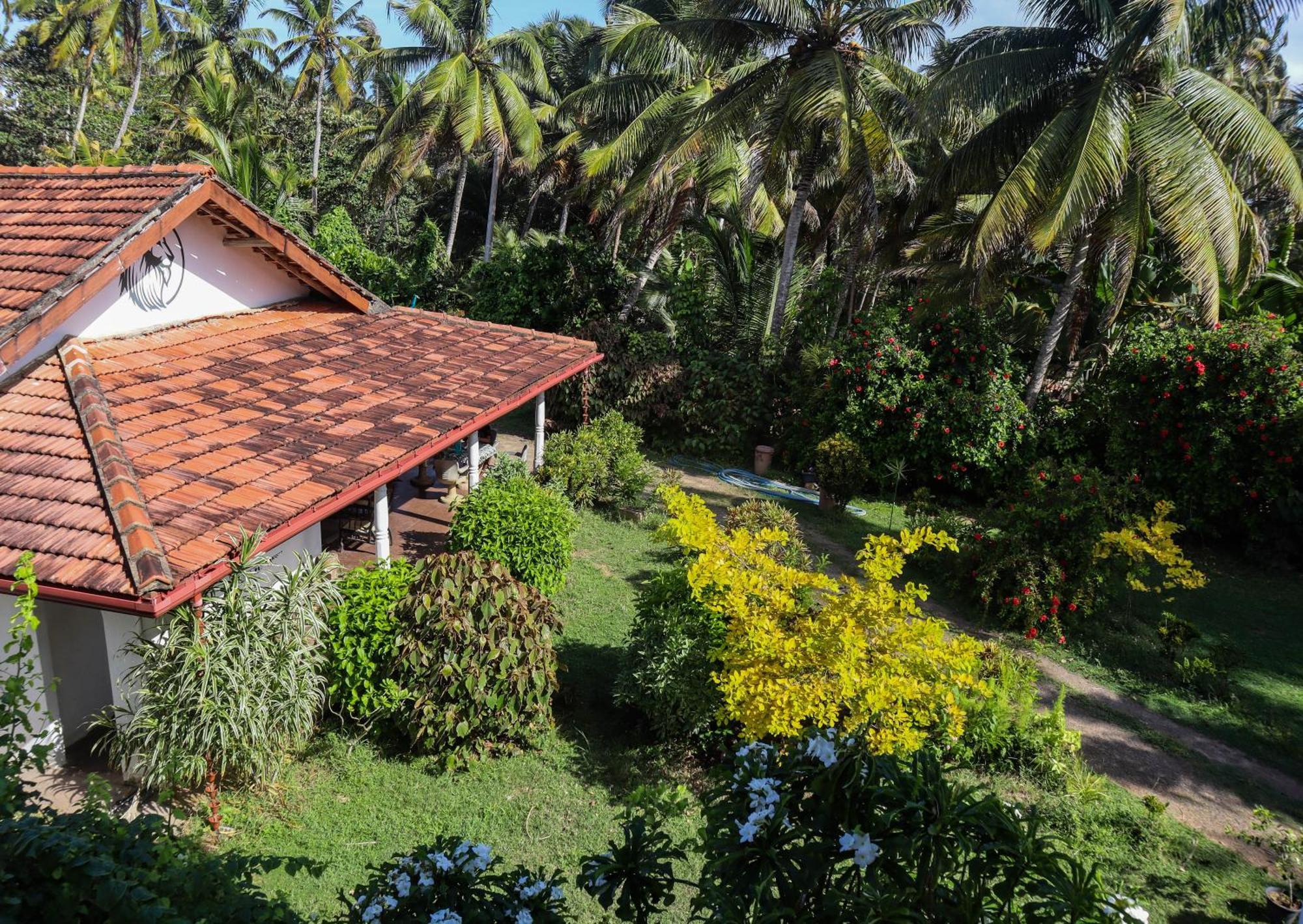 Singhe House Hotel Dikwella Exterior foto