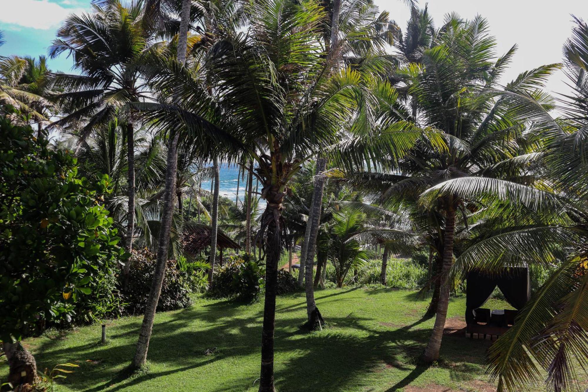 Singhe House Hotel Dikwella Exterior foto